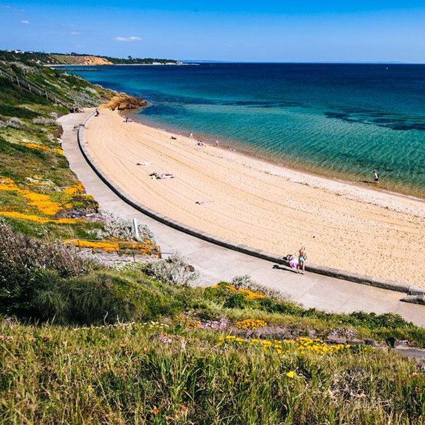 Sandringham Beach